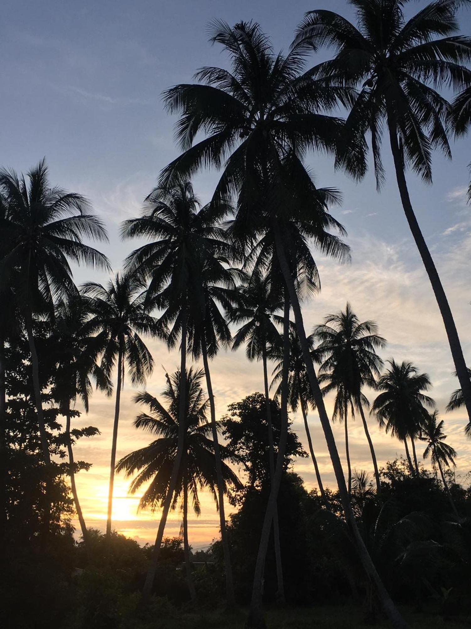 World Citizen Guesthouse Baan Tai Ngoại thất bức ảnh